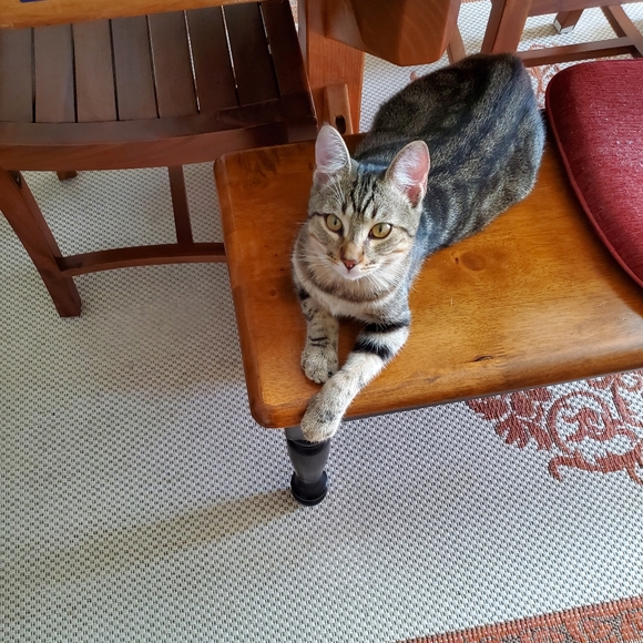 Meet your Posher, April - Picture 1 of 1